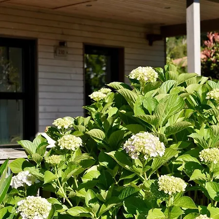 & U Livanti Ecolabel