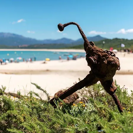 & U Livanti Ecolabel Propriano (Corsica)