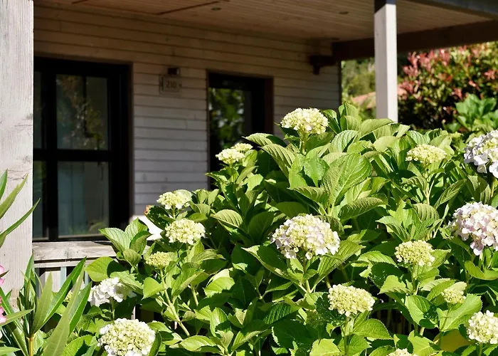 & U Livanti Ecolabel